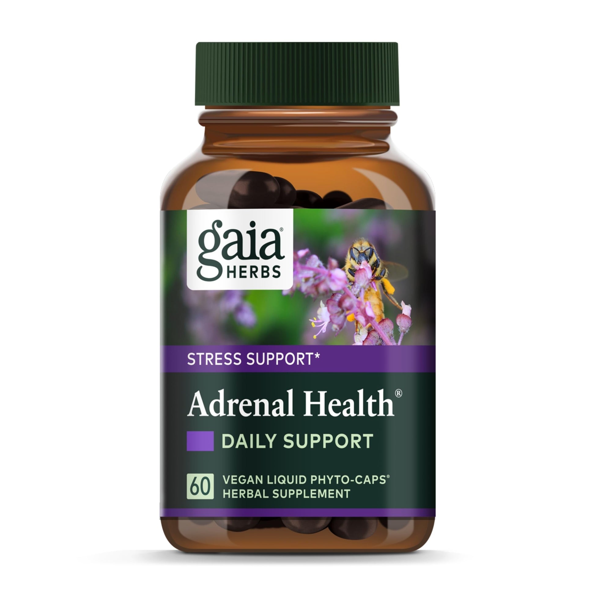 Gaia Herbs Adrenal Health Daily Support - with Ashwagandha, Holy Basil & Schisandra - Herbal Supplement to Help Maintain Healthy Energy & Stress Levels - 120 Vegan Liquid Phyto-Capsules (120 Count) - Nirvana Guru
