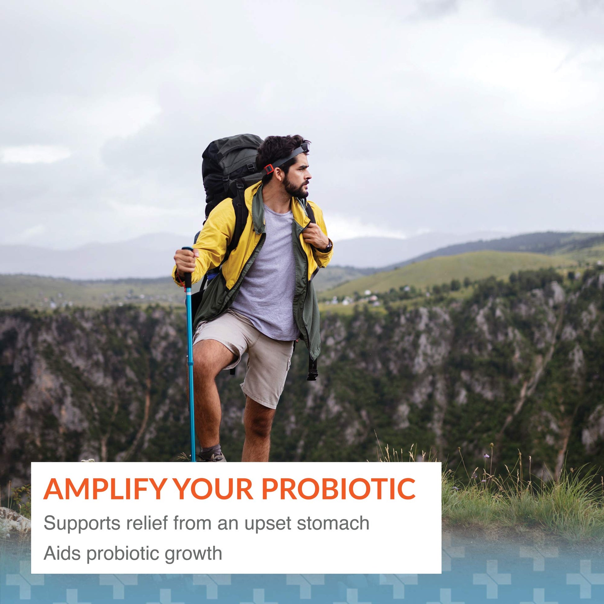 Arthur Andrew Medical, Floraphage, Prebiotic Formula and Probiotic Multiplier, 90 Capsules Nirvana Guru