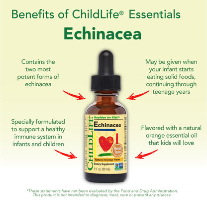 CHILDLIFE ESSENTIALS Echinacea for Kids - Kids Echinacea Drops, Liquid Tincture, Alcohol Free Supplement for Babies, Toddlers, Children - Natural Orange, 1 Fl Oz (Pack of 1) - Nirvana Guru