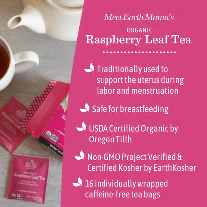 Earth Mama Organic Third Trimester Tea Bags | 100% USDA Organic Herbal Tea for Late Pregnancy Comfort + Childbirth Preparation, 16 Teabags Per Box (2-Pack) Nirvana Guru