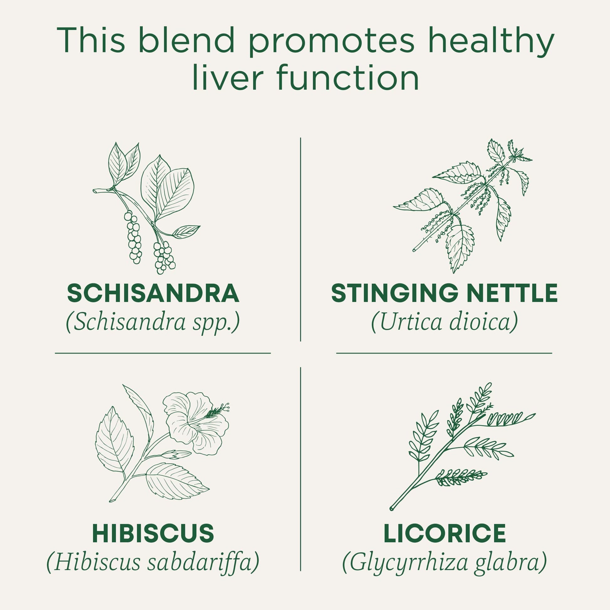 Traditional Medicinals Tea, Organic Roasted Dandelion Root, Supports Kidney Function & Healthy Digestion, 96 Tea Bags (6 Pack) - Nirvana Guru