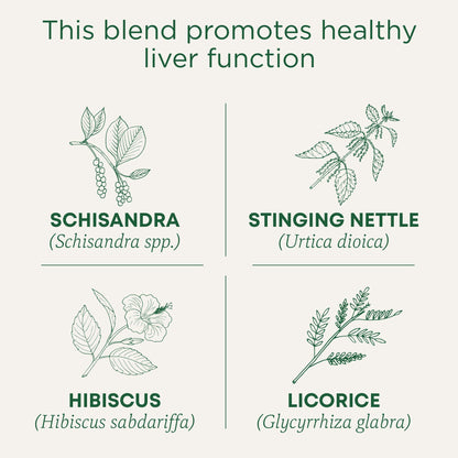 Traditional Medicinals Tea, Organic Roasted Dandelion Root, Supports Kidney Function & Healthy Digestion, 96 Tea Bags (6 Pack) - Nirvana Guru