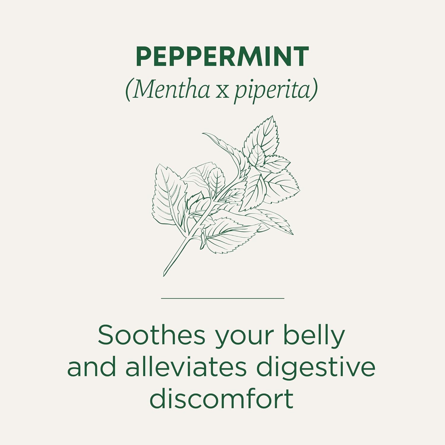 Traditional Medicinals Tea, Organic Peppermint, Soothes Your Belly, Refreshing & Minty, 96 Tea Bags (6 Pack) - Nirvana Guru