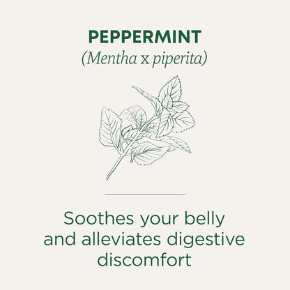 Traditional Medicinals Tea, Organic Peppermint, Soothes Your Belly, Refreshing & Minty, 96 Tea Bags (6 Pack) - Nirvana Guru