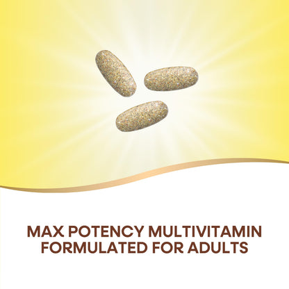 Nature's Way Alive! Max3 Potency Adult Complete Multivitamin, Ultra Potency B-vitamins to Support Energy Metabolism*, with Methylated B12 and Folate, 180 Tablets - Nirvana Guru