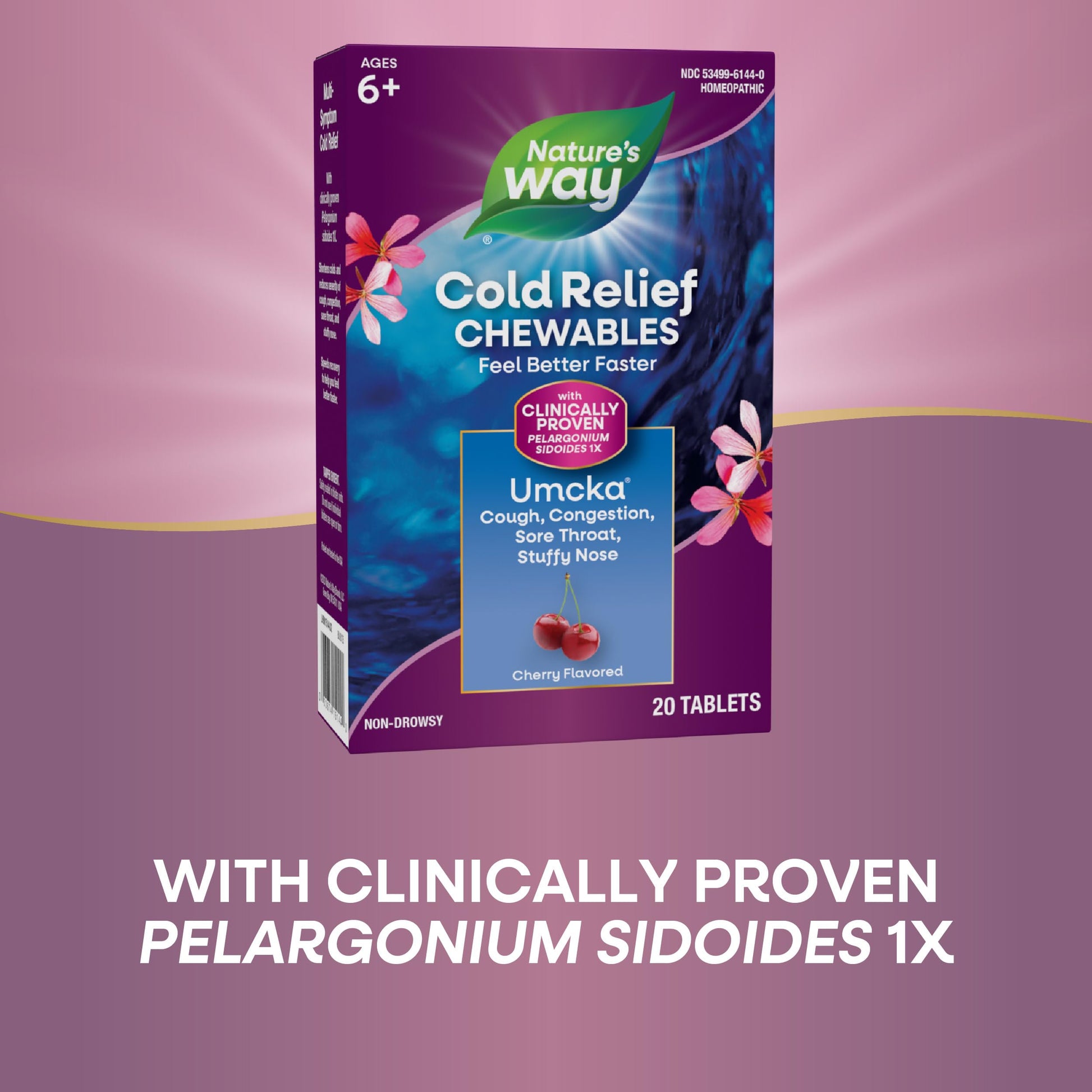 Nature's Way Cold Relief, Umcka, Shortens Duration and Reduces Severity, Multi-Symptom Cold Relief, Homeopathic, Phenylephrine Free, Cherry Flavored, 20 Chewable Tablets - Nirvana Guru