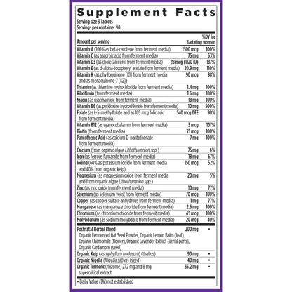 New Chapter, Postnatal Vitamins Lactation Supplement, Complete Multivitamin with Fermented Vitamin D3 + B Vitamins, Made with Organic Vegetables & Herbs, Non-GMO Ingredients, 192 Count - Nirvana Guru
