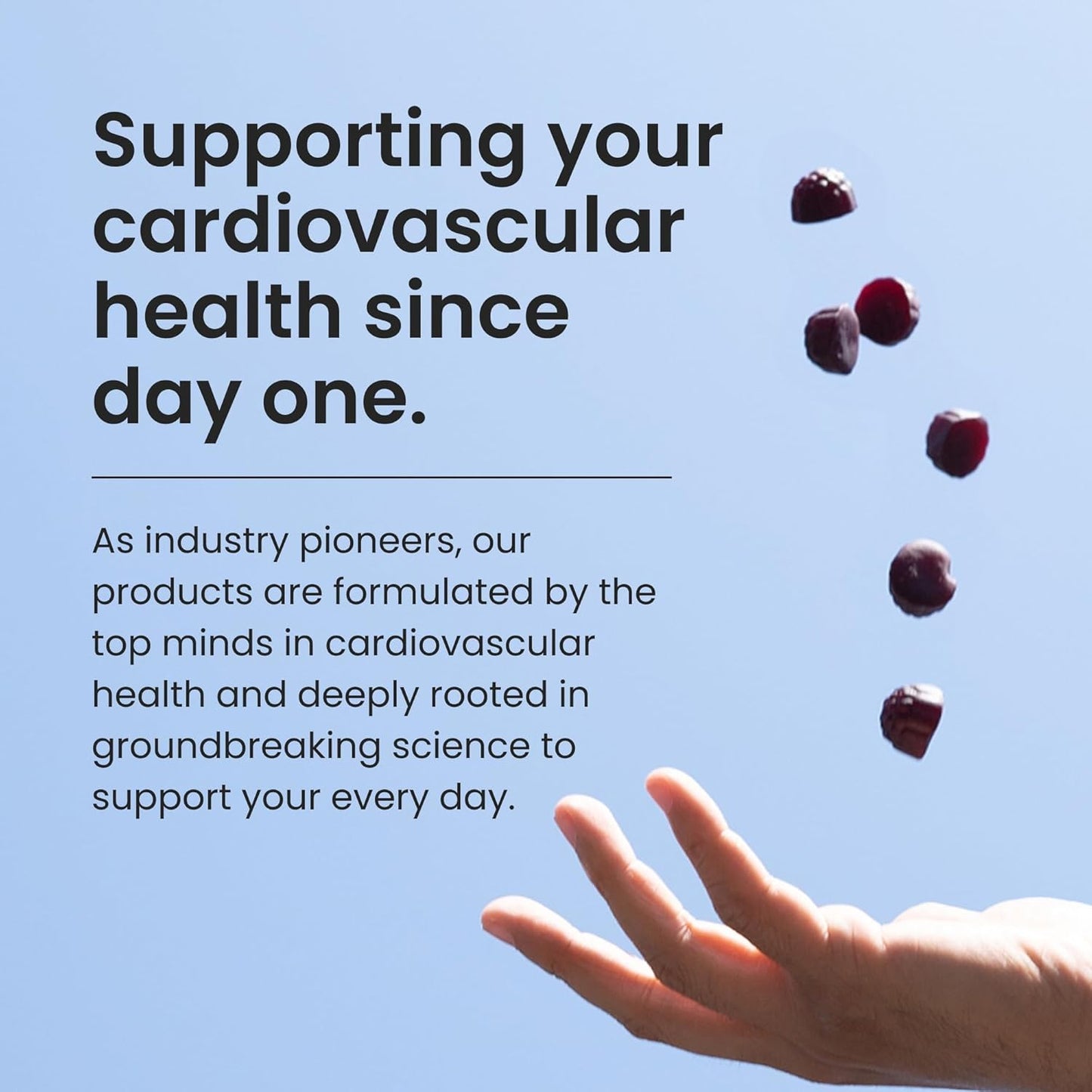 HumanN SuperBeets Heart Gummies - Beet Gummy with Energy Support, Grape Seed Extract & Beetroot Powder, Sugar Free - Pomegranate Berry Flavor, 60 Count - Nirvana Guru