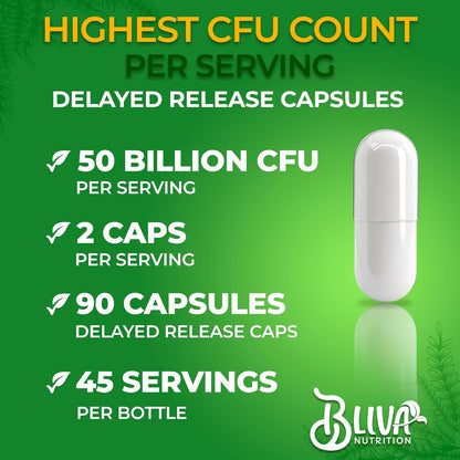 BLIVA Lactobacillus Reuteri Capsules – L Reuteri - 50 Billion CFU per Serving - Highest CFU Count L Reuteri Supplement - 90 Capsules - Nirvana Guru