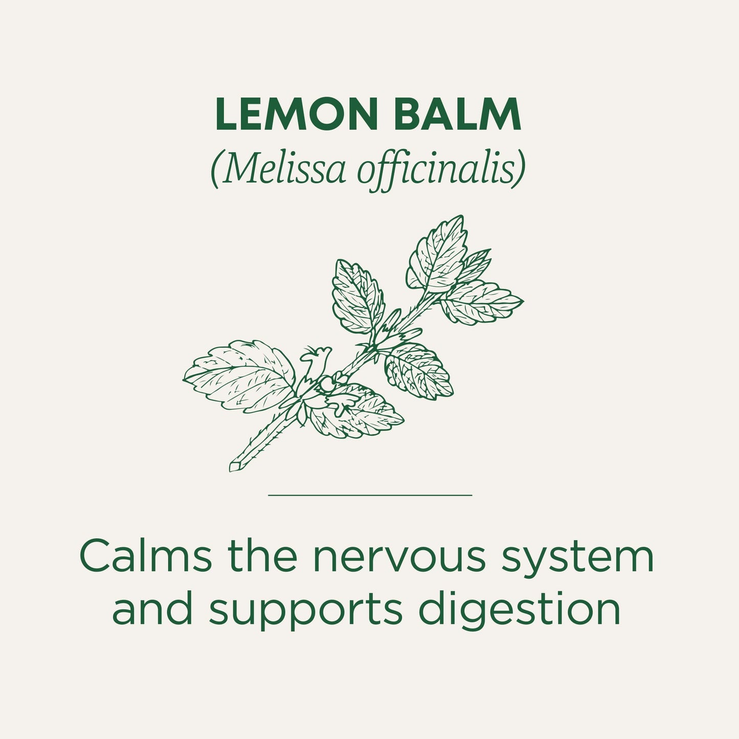 Traditional Medicinals Tea, Organic Chamomile, Calming, Calms Your Nerves, Supports Healthy Digestion, 96 Tea Bags (6 Pack) - Nirvana Guru