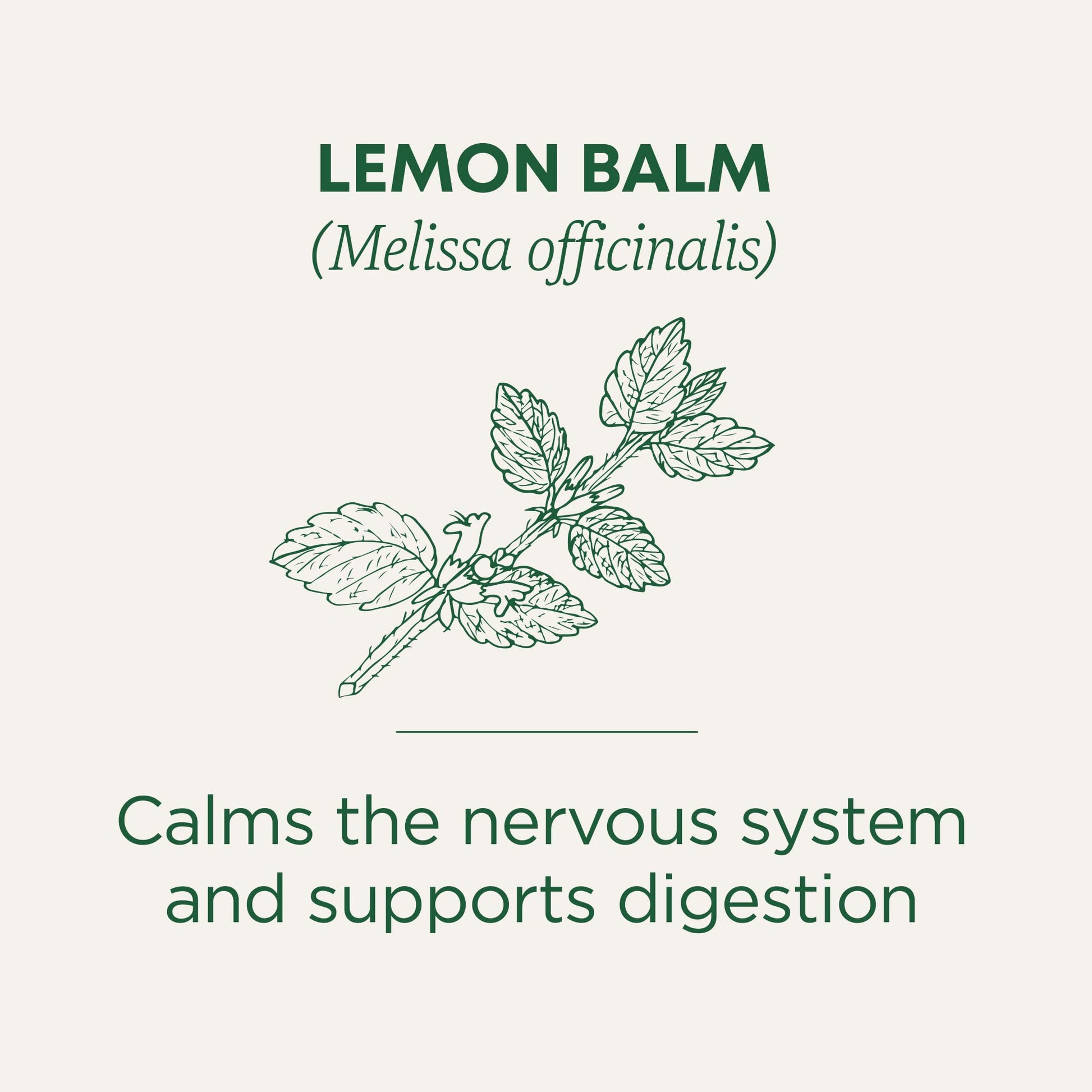 Traditional Medicinals Tea, Organic Chamomile, Calming, Calms Your Nerves, Supports Healthy Digestion, 96 Tea Bags (6 Pack) - Nirvana Guru