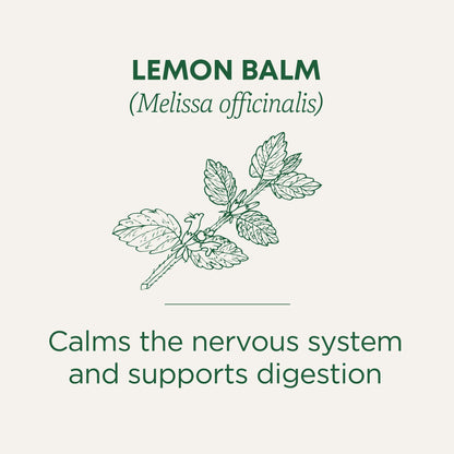 Traditional Medicinals Tea, Organic Chamomile, Calming, Calms Your Nerves, Supports Healthy Digestion, 96 Tea Bags (6 Pack) - Nirvana Guru