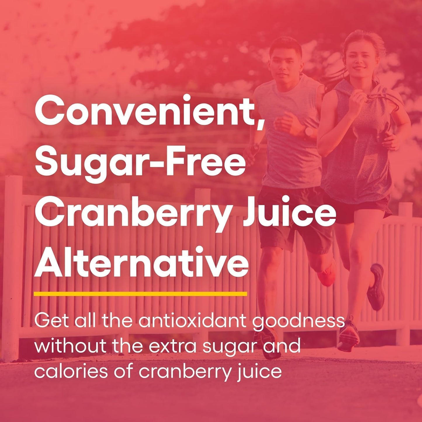 Natural Factors CranRich, Super Strength 36:1 Cranberry Concentrate, 500 mg, Sugar-Free Whole Fruit Cranberry Pills for Urinary Tract Health, 180 Capsules - Nirvana Guru