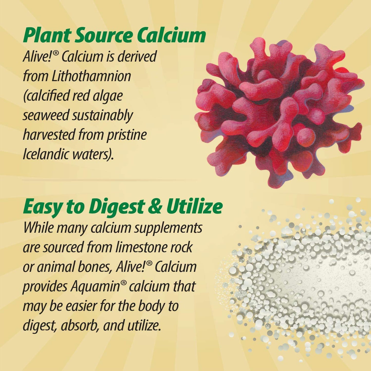 Nature's Way Alive! Calcium Max Absorption, Bone Support*, Plant Source Calcium, Vitamin D3 & K2, Magnesium, 120 Tablets (Packaging May Vary) - Nirvana Guru