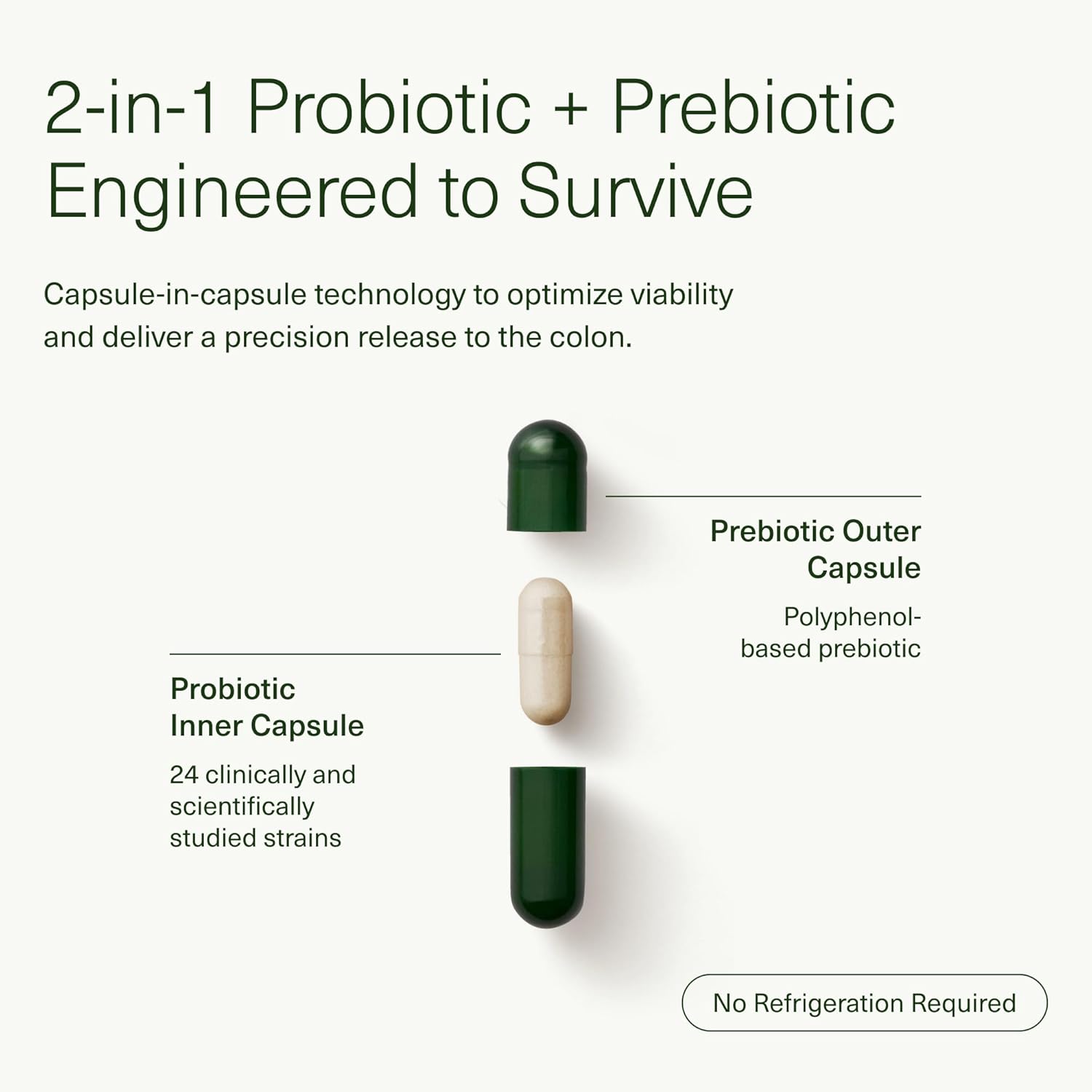 Seed 14 Day Gut Reset - Prebiotic and Probiotic for Women & Men - Digestive Health, Gut Health, Rapid Gut Recovery, Bloating & Constipation Relief - Vegan & Shelf-Stable - 28 Capsules (14-Day Supply) - Nirvana Guru