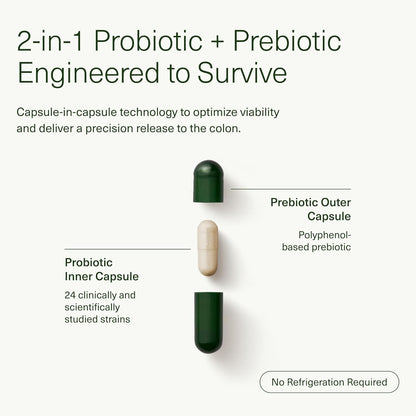 Seed 14 Day Gut Reset - Prebiotic and Probiotic for Women & Men - Digestive Health, Gut Health, Rapid Gut Recovery, Bloating & Constipation Relief - Vegan & Shelf-Stable - 28 Capsules (14-Day Supply) - Nirvana Guru
