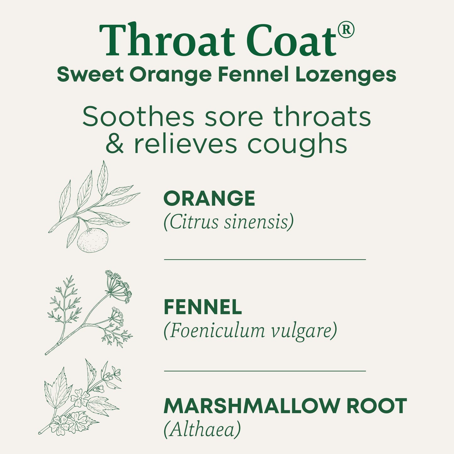 Traditional Medicinals Lozenges, Organic Morning Ease Lemon Ginger, Relieves Nausea & Morning Sickness Associated w/Normal Pregnancy, 30 Individually Wrapped Lozenges - Nirvana Guru