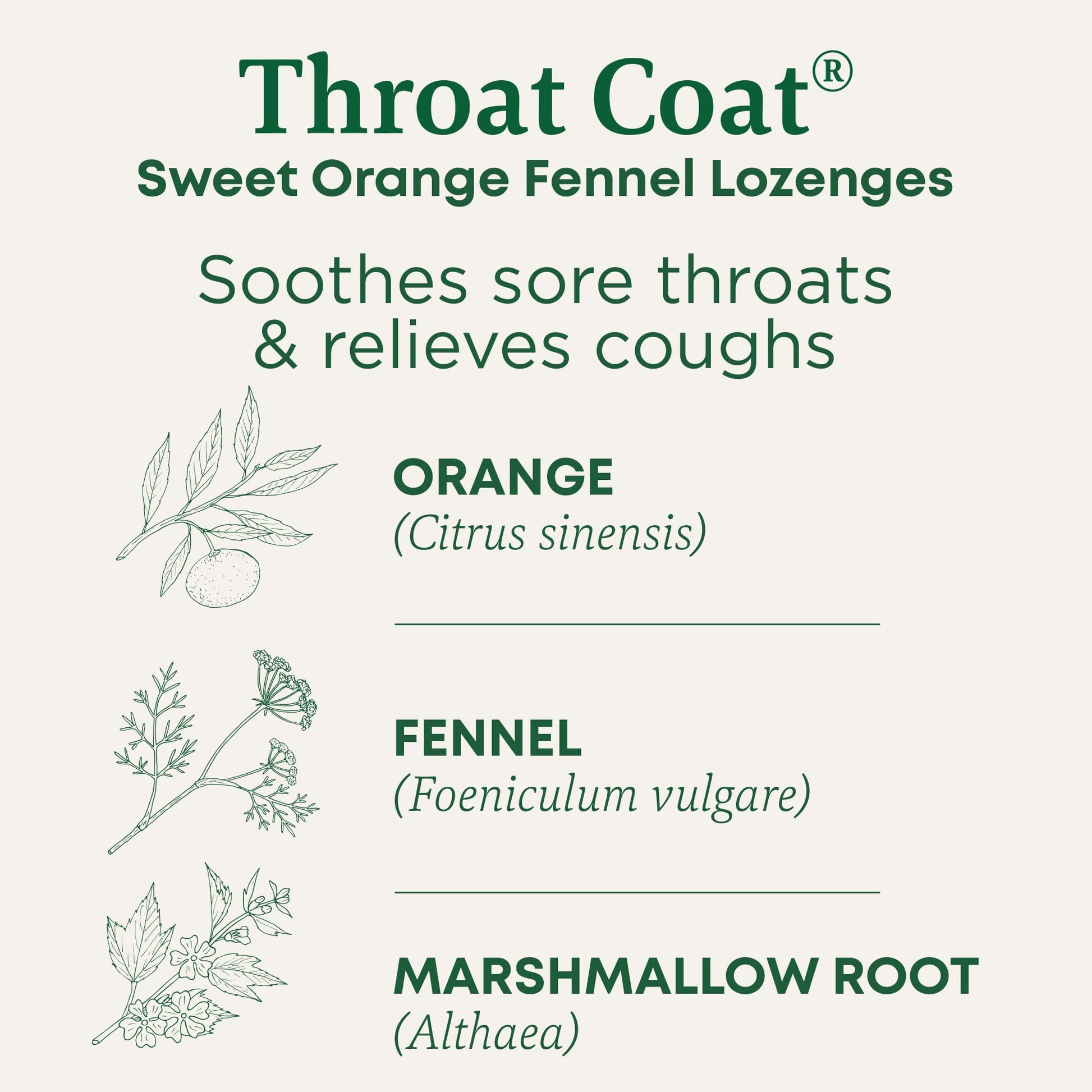 Traditional Medicinals Lozenges, Organic Morning Ease Lemon Ginger, Relieves Nausea & Morning Sickness Associated w/Normal Pregnancy, 30 Individually Wrapped Lozenges - Nirvana Guru