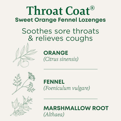 Traditional Medicinals Lozenges, Organic Morning Ease Lemon Ginger, Relieves Nausea & Morning Sickness Associated w/Normal Pregnancy, 30 Individually Wrapped Lozenges - Nirvana Guru
