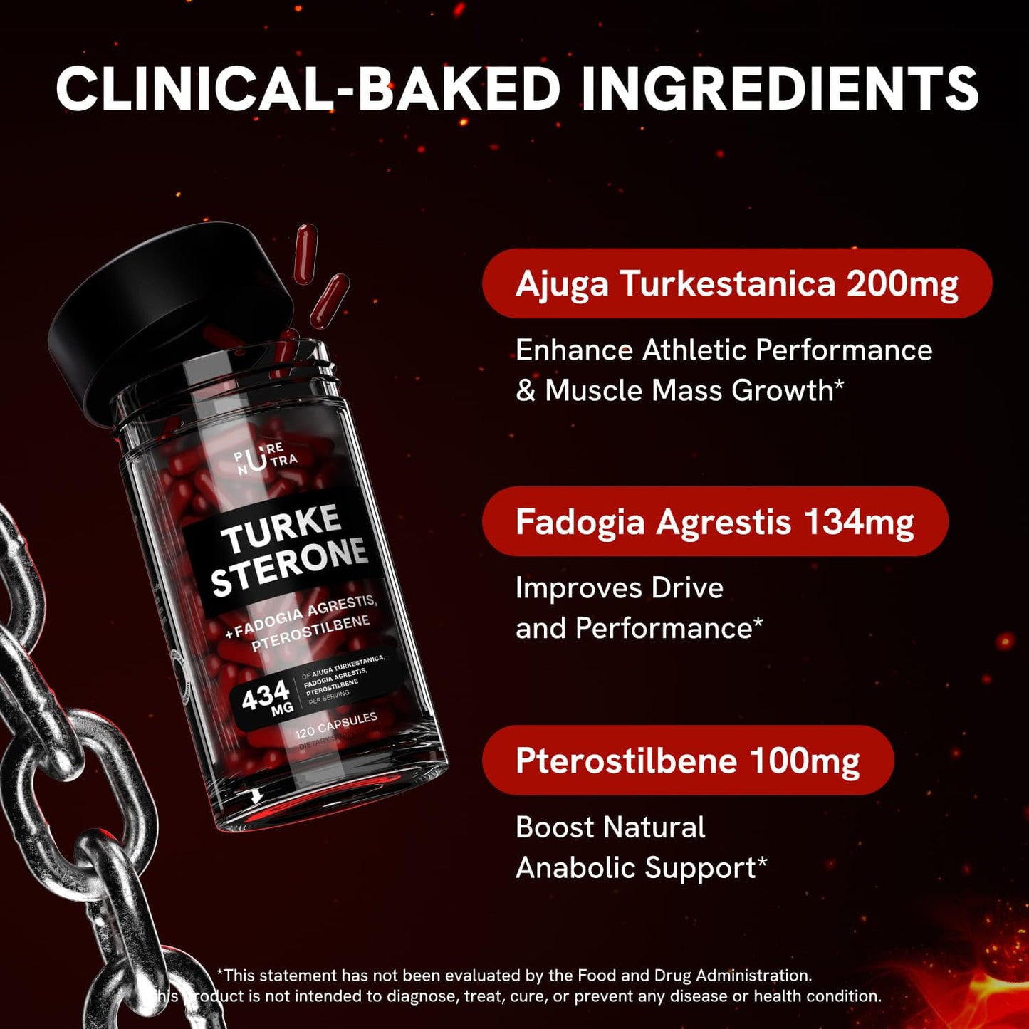 Turkesterone Supplement for Men - Organic Turkesterone Supplement for Muscle Growth w/Fadogia Agrestis Pterostilbene | Complexed Turkesterone Powder | 120 Turkestrone Vegan Capsules 1 Pack Nirvana Guru