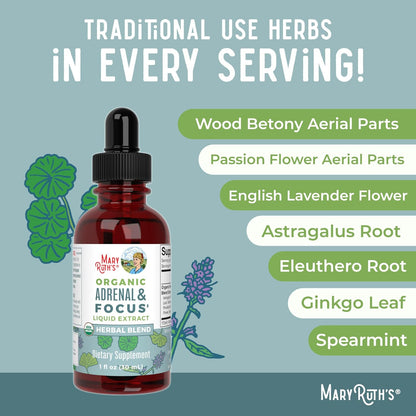 MaryRuth - USDA Organic Brain Nootropic Focus Supplement for Adults with Ginkgo Biloba & Astragalus | Focus & Adrenal Support | Brain and Memory Drops | Vegan | Non-GMO | Gluten Free | 30 Servings - Nirvana Guru