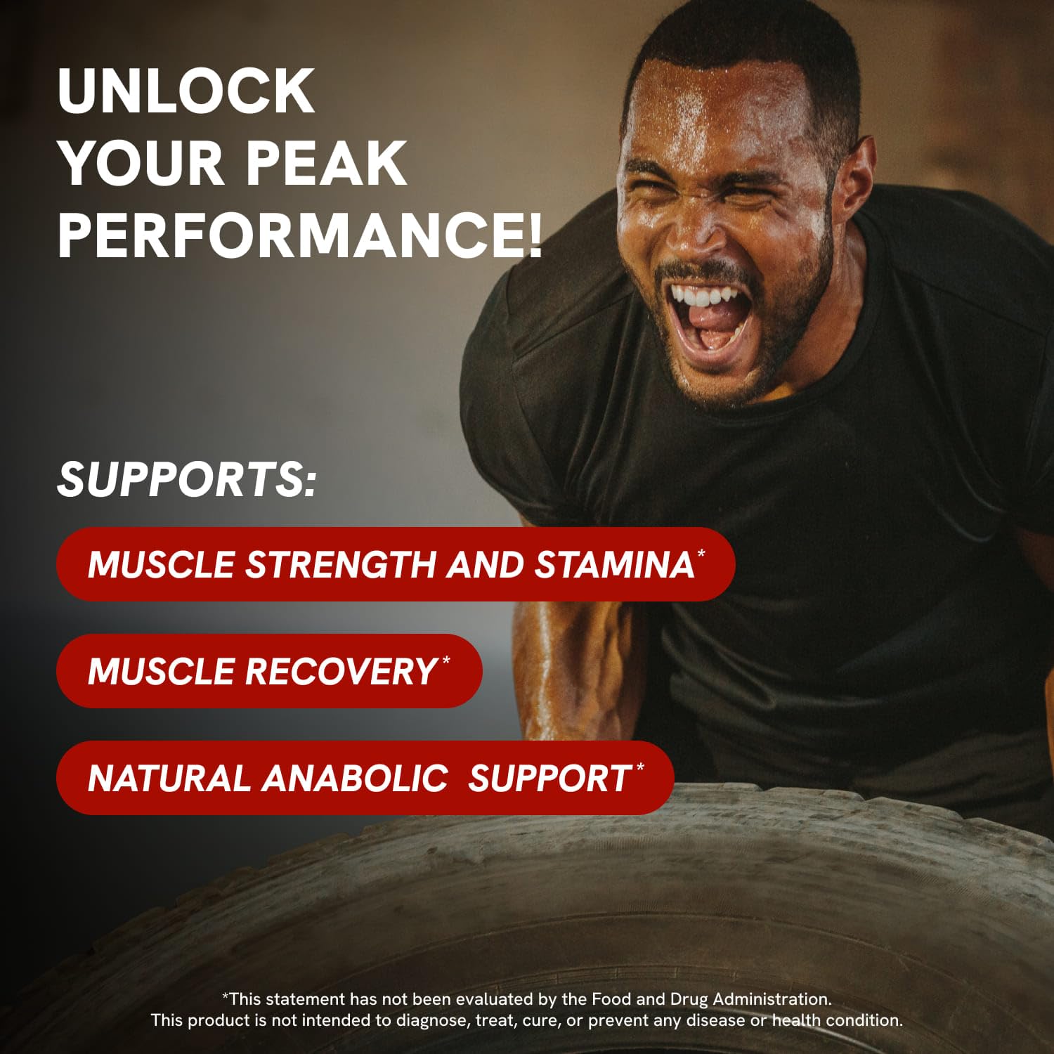 Turkesterone Supplement for Men - Organic Turkesterone Supplement for Muscle Growth w/Fadogia Agrestis Pterostilbene | Complexed Turkesterone Powder | 120 Turkestrone Vegan Capsules 1 Pack Nirvana Guru