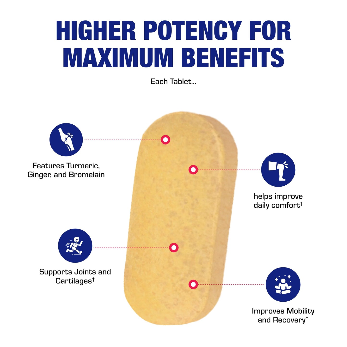 Pro ENZ Joint Support Supplement - Clinical Formula Turmeric Boswellia Supplement for Joint & Cartilage Mobility and Comfort Support Plus Eicosanoid Management with Proteolytic Enzymes (120 Servings) Nirvana Guru