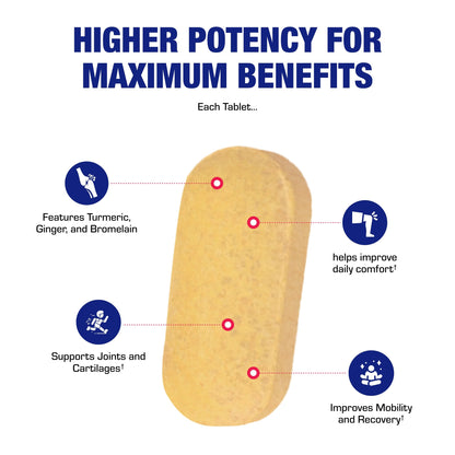 Pro ENZ Joint Support Supplement - Clinical Formula Turmeric Boswellia Supplement for Joint & Cartilage Mobility and Comfort Support Plus Eicosanoid Management with Proteolytic Enzymes (120 Servings) Nirvana Guru