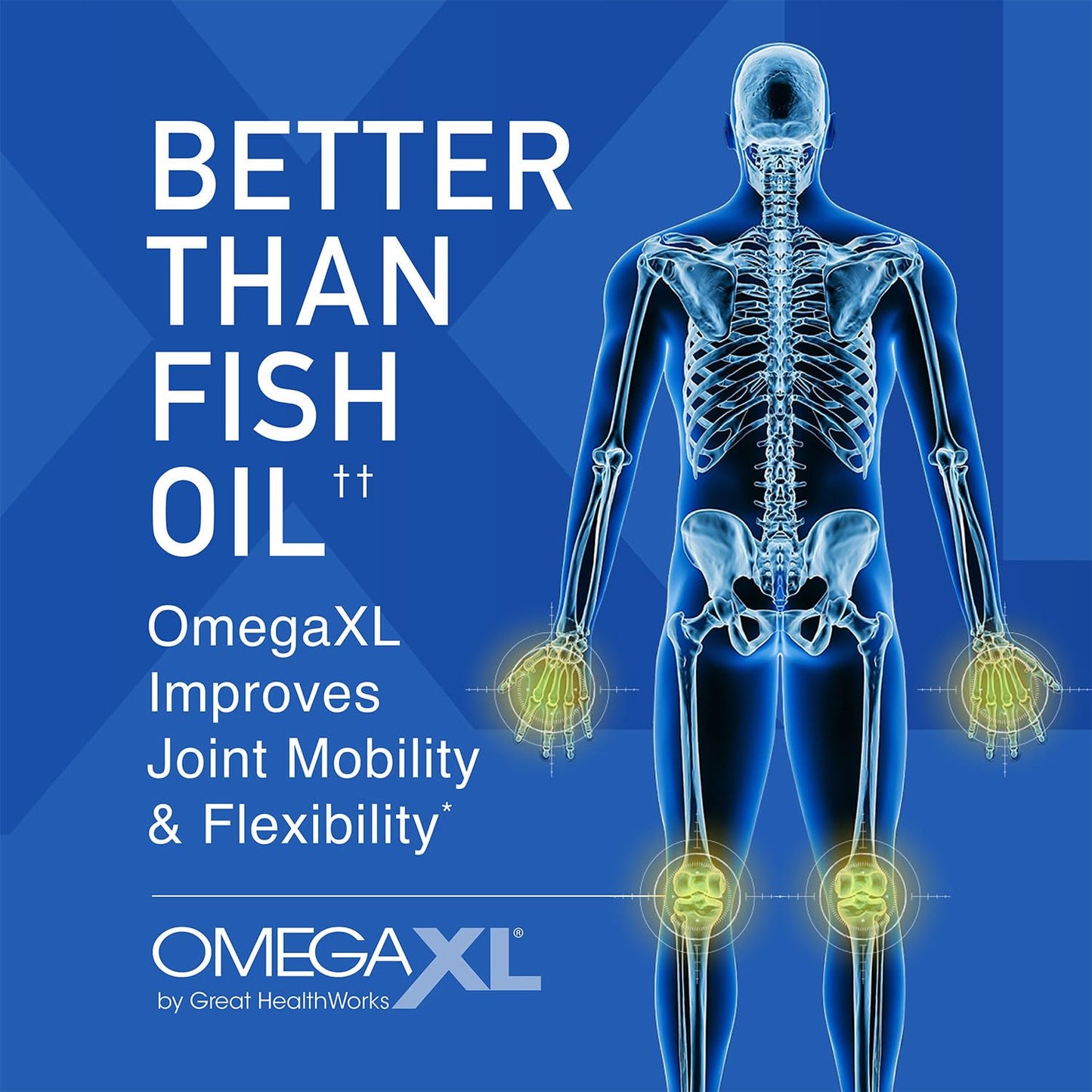 OmegaXL Joint Support Supplement - Natural Muscle Support, Green Lipped Mussel Oil, Soft Gel Pills, Drug-Free, 120 Count Nirvana Guru