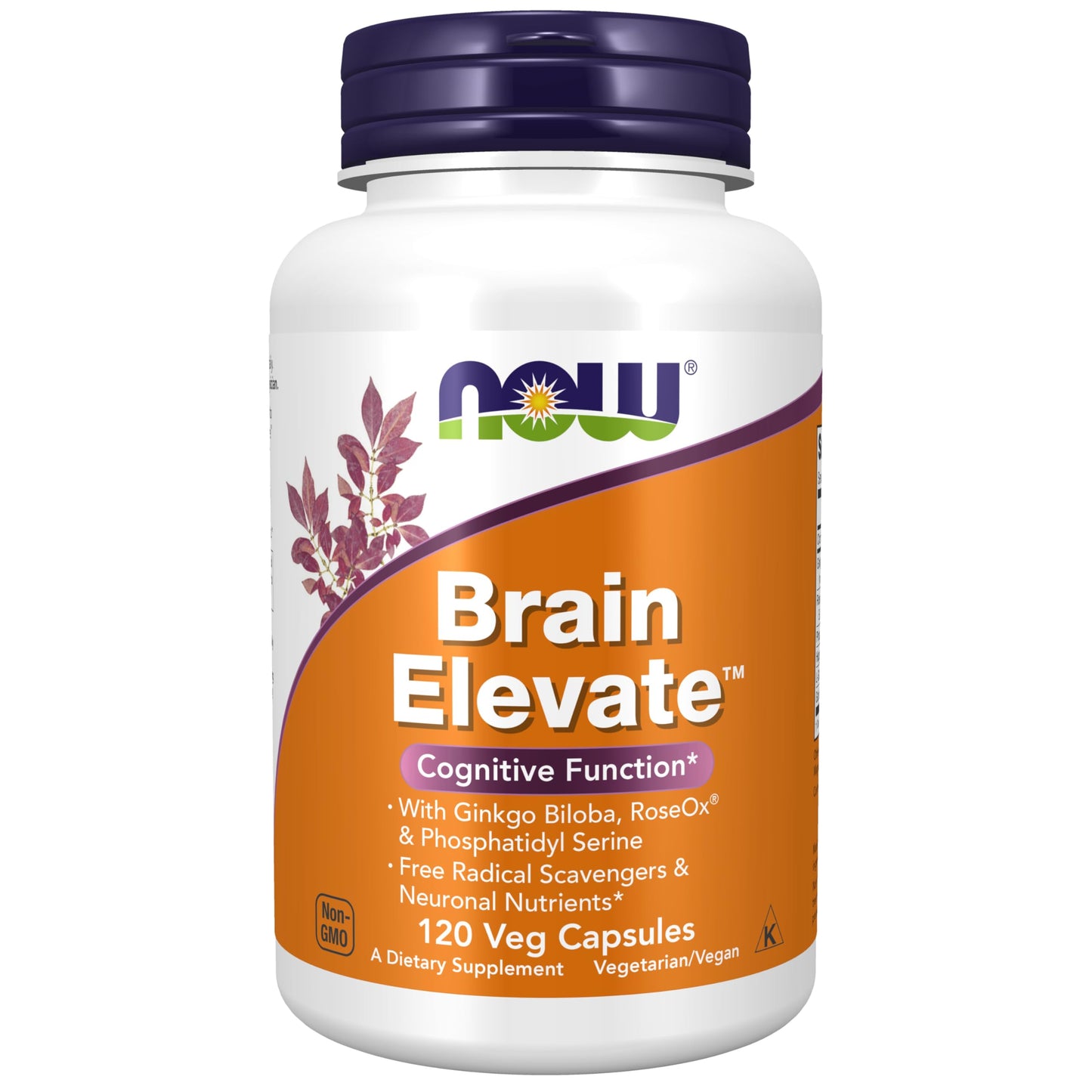 NOW Foods Supplements, Brain Elevate™, Featuring Ginkgo Biloba, RoseOx® and Phosphatidyl Serine, 60 Veg Capsules - Nirvana Guru