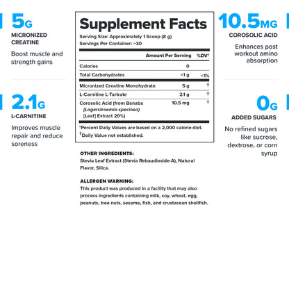 LEGION Recharge Post Workout Drink - Micronized Creatine Monohydrate Natural Post Workout Recovery Drink - Muscle Builder & Recovery Booster Post Workout Supplements (Strawberry Lemonade, 30 Servings) Nirvana Guru