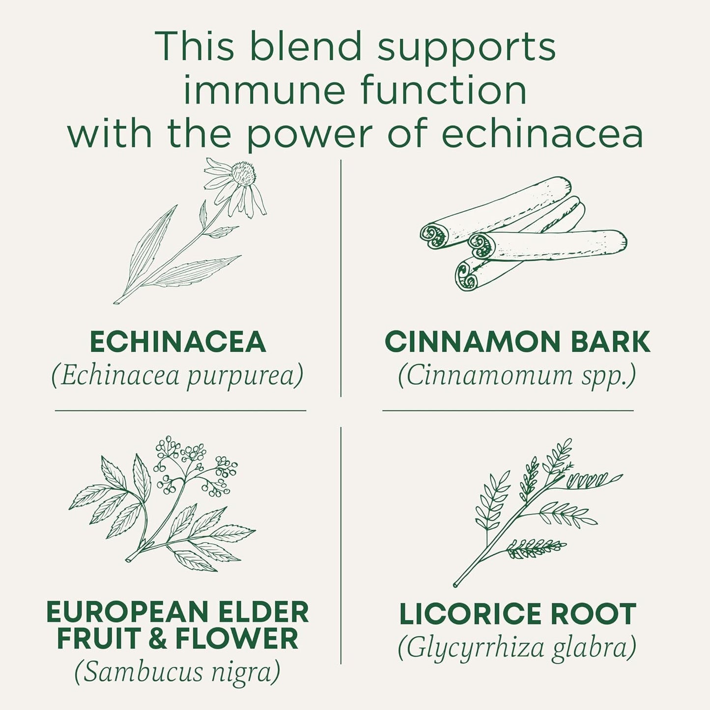 Traditional Medicinals Tea, Organic Immune Zoom Elderberry Echinacea, Supports Immune Function, 16 Tea Bags - Nirvana Guru