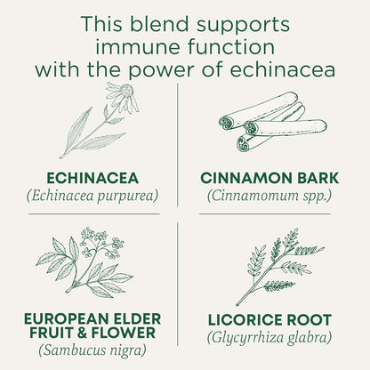 Traditional Medicinals Tea, Organic Immune Zoom Elderberry Echinacea, Supports Immune Function, 16 Tea Bags - Nirvana Guru