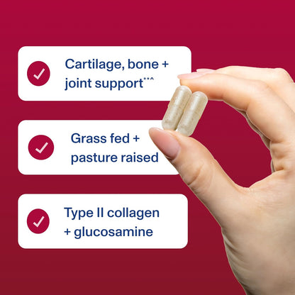 Vital Proteins Cartilage Collagen Pills, Type II Collagen & Chondroitin Sulfate Supplement for Recovery & Healthy Hair, Skin, Nails and Joints - 750 mg Serving with 120 Capsules - Nirvana Guru
