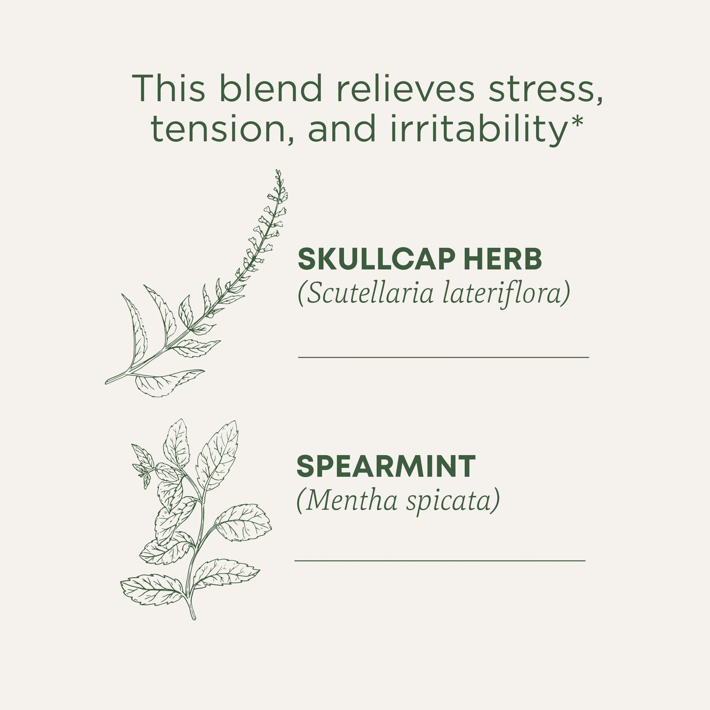 Traditional Medicinals Tea, Organic Chamomile, Calming, Calms Your Nerves, Supports Healthy Digestion, 96 Tea Bags (6 Pack) - Nirvana Guru