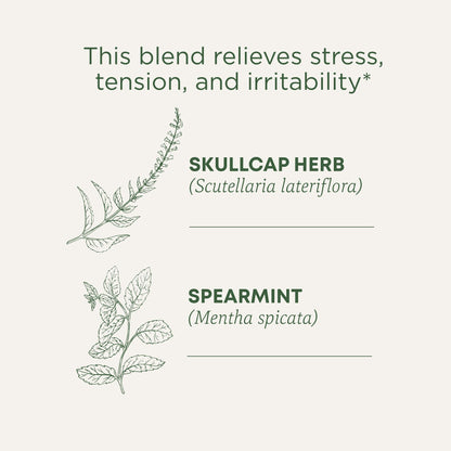 Traditional Medicinals Tea, Organic Chamomile, Calming, Calms Your Nerves, Supports Healthy Digestion, 96 Tea Bags (6 Pack) - Nirvana Guru