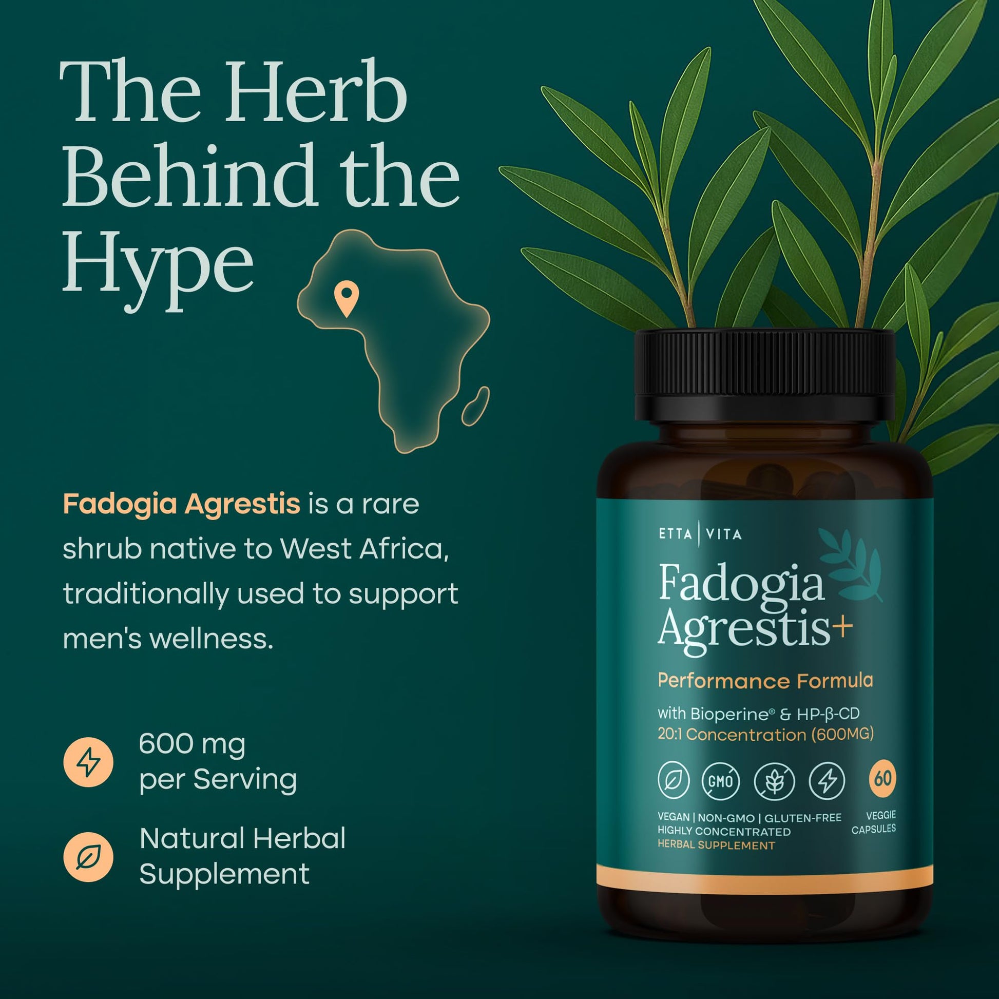 Potent Nattokinase 4000 FU Serrapeptase 240000 SPU Lumbrokinase 2000 FU Supplement - Proteolytic Enzymes Capsules for Energy Support, Digestion, Detox, Cognition & Gut Health for Men & Women Nirvana Guru