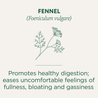 Traditional Medicinals Organic Fennel Tea, 16 Count - Nirvana Guru