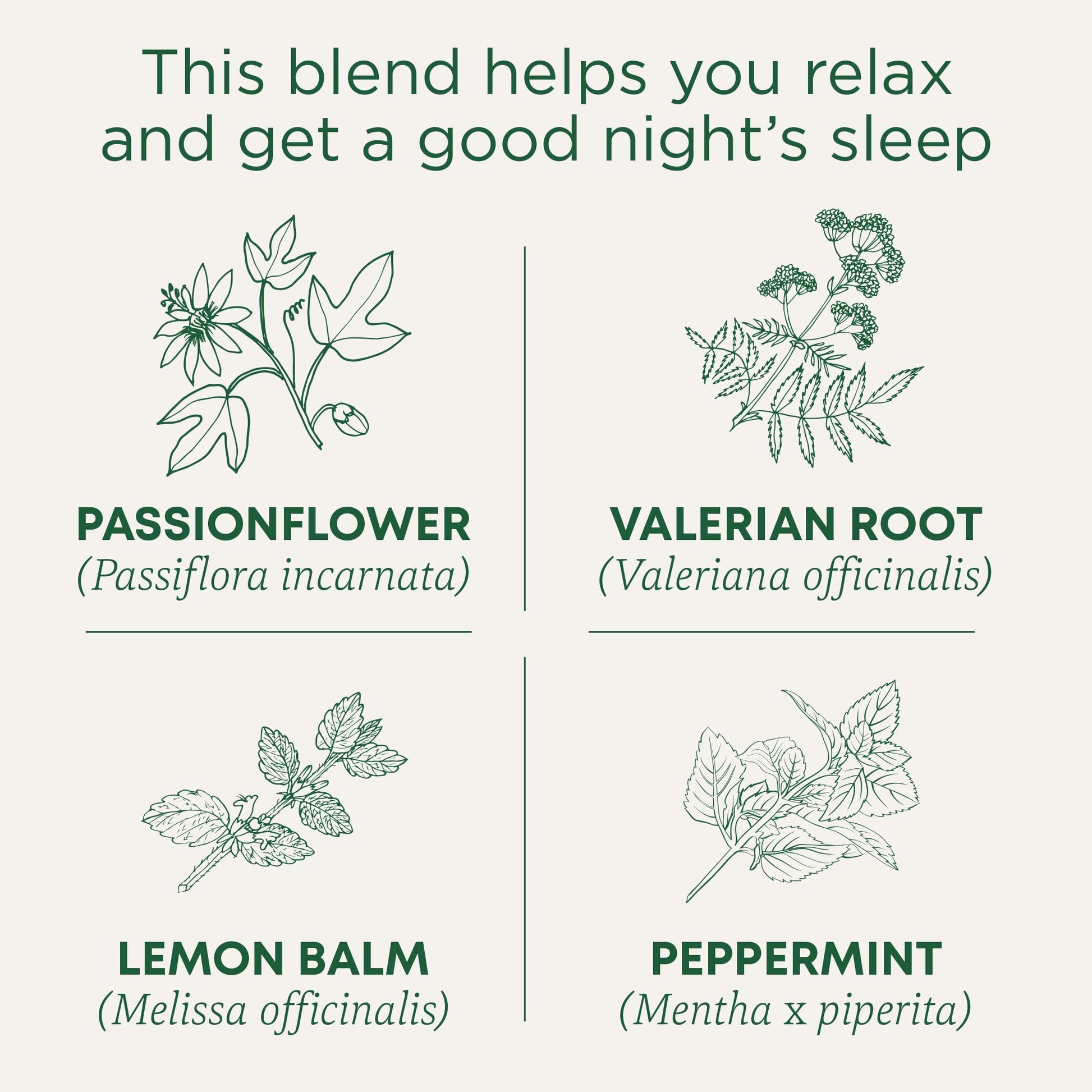 Traditional Medicinals Organic Nighty Night Extra Tea With Valerian Root for Relaxation, 16 Tea Bags (Pack of 1) - Nirvana Guru