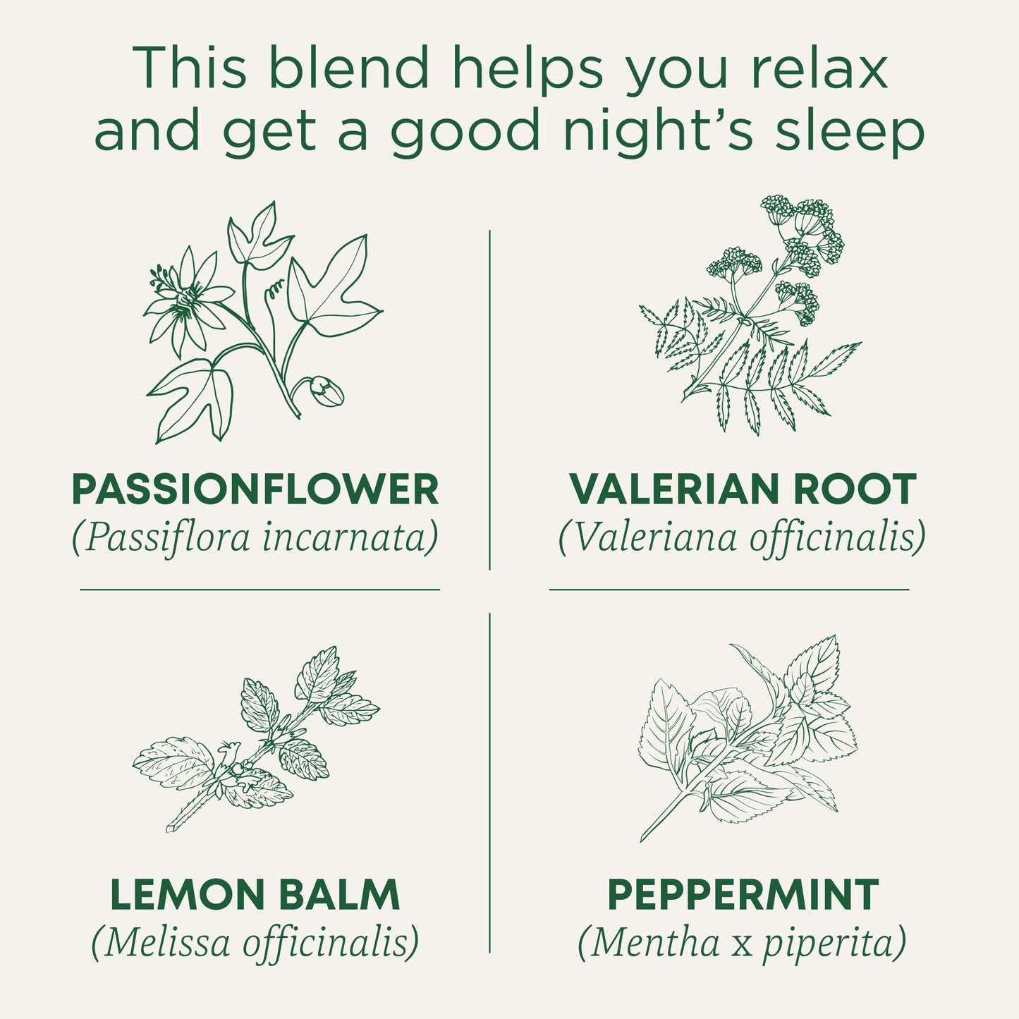 Traditional Medicinals Organic Nighty Night Extra Tea With Valerian Root for Relaxation, 16 Tea Bags (Pack of 1) - Nirvana Guru