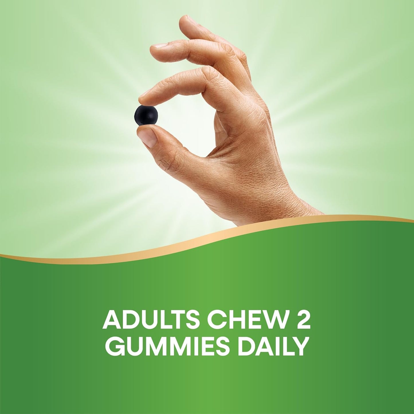 Nature’s Way Chlorofresh Chlorophyll Gummies, Supports Healthy Skin and Body Detox*, Internal Deodorant*, Orchard Fruit Flavored, 60 Gummies (Packaging May Vary) - Nirvana Guru