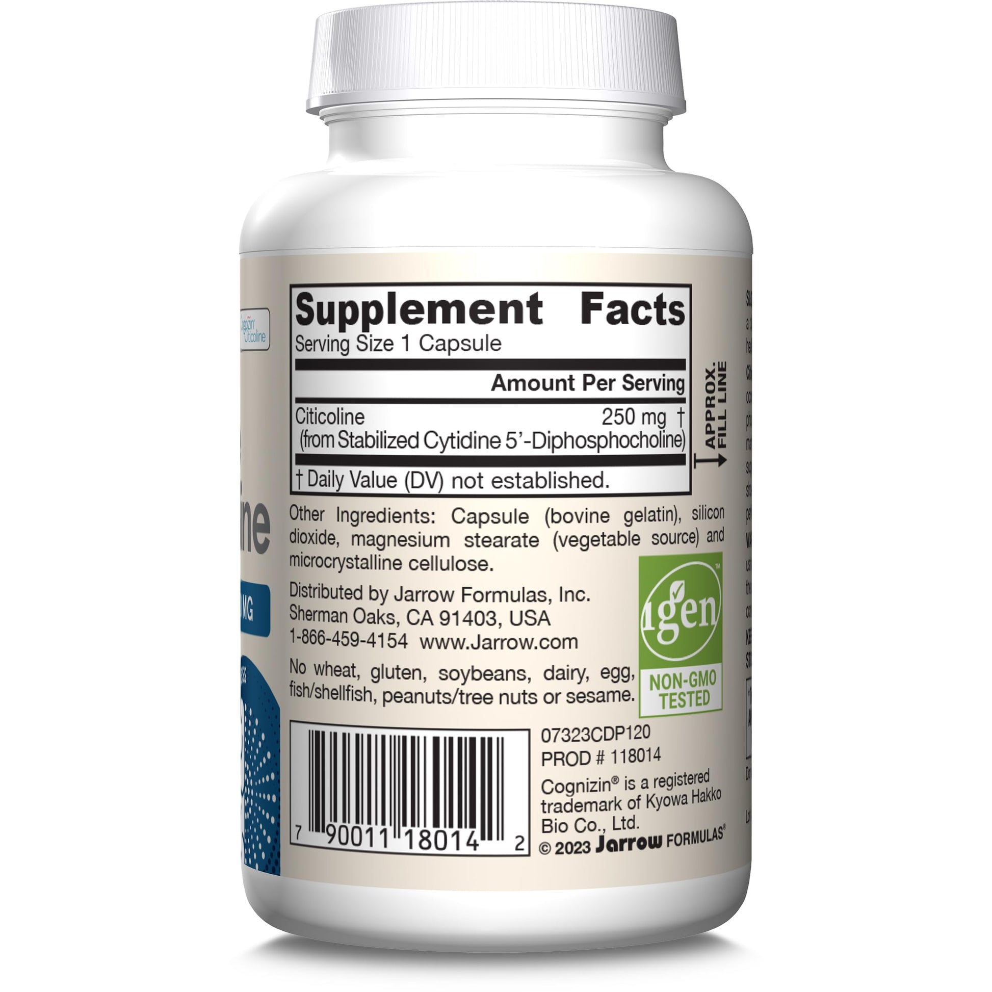 Jarrow Formulas Citicoline CDP Choline 250 MG, CDP Choline Supplement Supports Brain Health, Performance and Memory, 120 Capsules, Up to a 120 Day Supply - Nirvana Guru