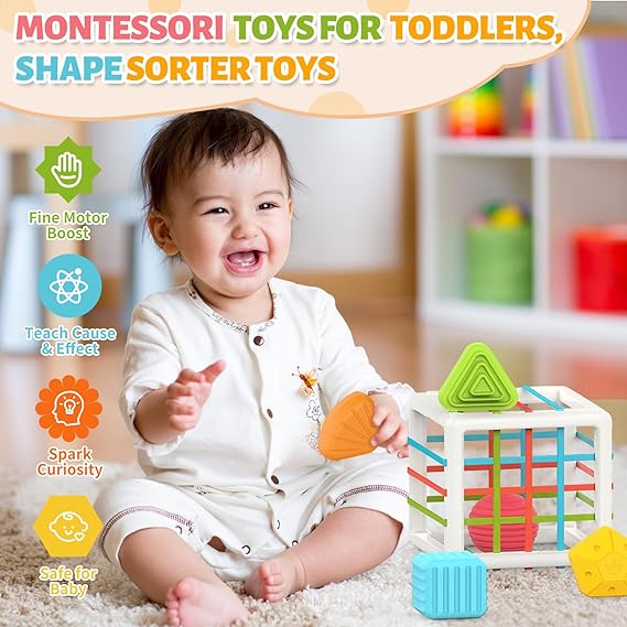 MINGKIDS Montessori Toys for 1 Year Old – 6 Pc Multi-Sensory Shape Sorter Set | Developmental Learning Toys & Birthday Gifts for Toddlers 12 Months+ nirvanaguru