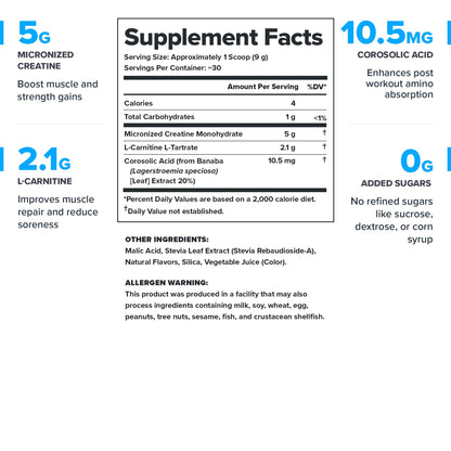 LEGION Recharge Post Workout Drink - Micronized Creatine Monohydrate Natural Post Workout Recovery Drink - Muscle Builder & Recovery Booster Post Workout Supplements (Strawberry Lemonade, 30 Servings) Nirvana Guru