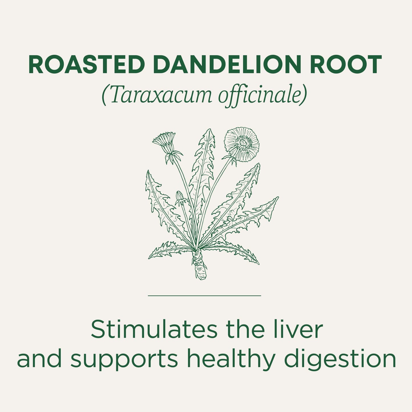Traditional Medicinals Tea, Organic Roasted Dandelion Root, Supports Kidney Function & Healthy Digestion, 96 Tea Bags (6 Pack) - Nirvana Guru