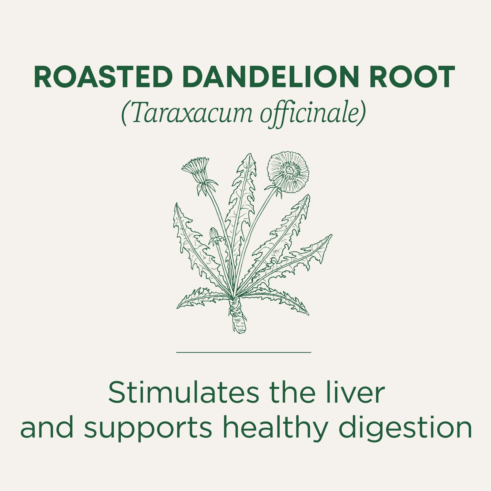 Traditional Medicinals Tea, Organic Roasted Dandelion Root, Supports Kidney Function & Healthy Digestion, 96 Tea Bags (6 Pack) - Nirvana Guru