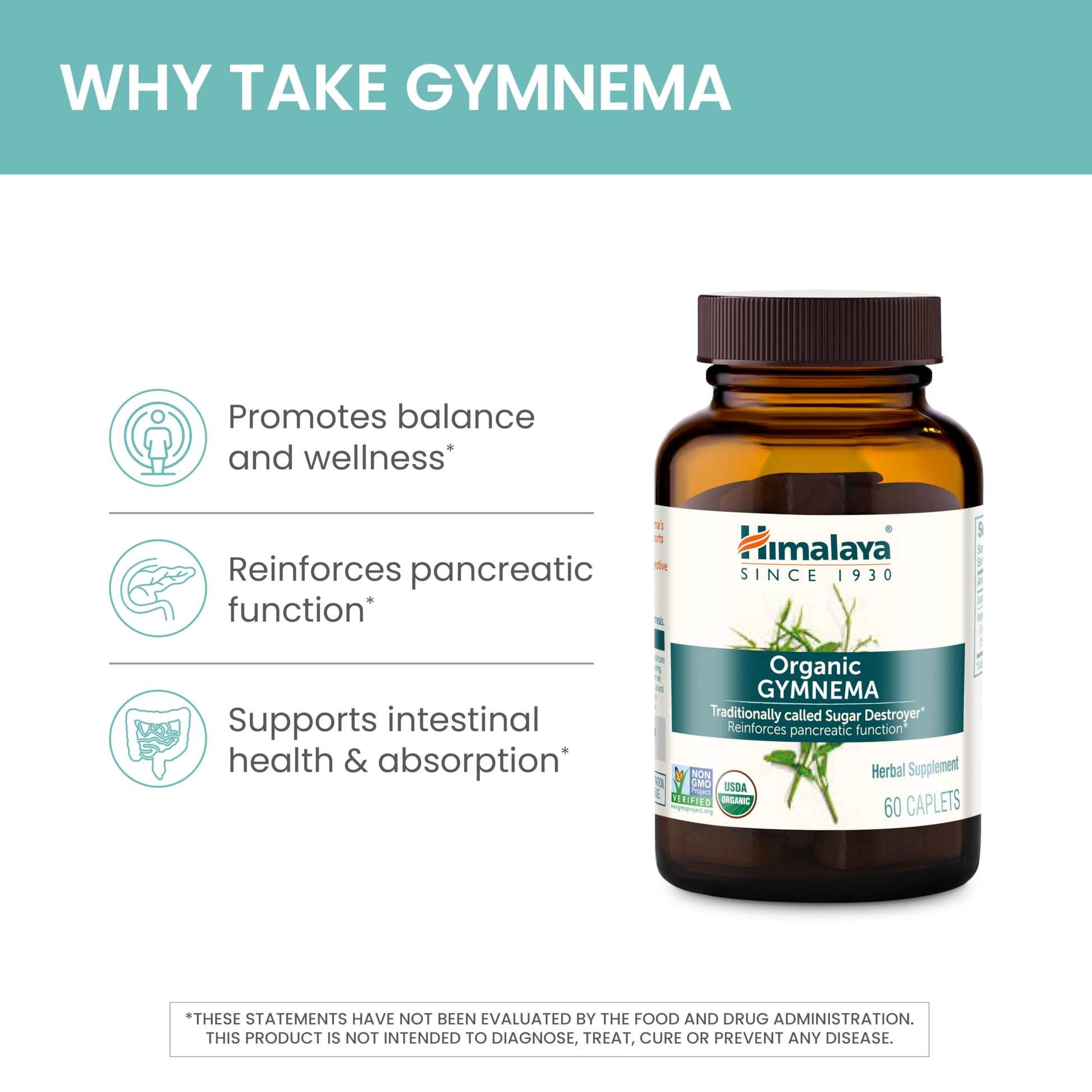 Himalaya Organic Gymnema Sylvestre Herbal Supplement USDA Certified Organic, Non-GMO, 700 mg, 60 Plant-Based Caplets - Nirvana Guru