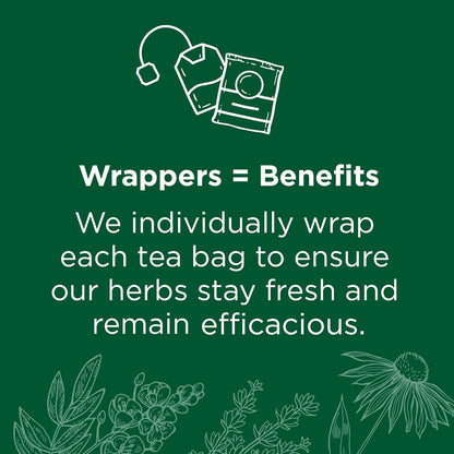 Traditional Medicinals Tea, Organic Spearmint, Supports Everyday Wellness, Healthy & Refreshing - 48 Tea Bags - Nirvana Guru