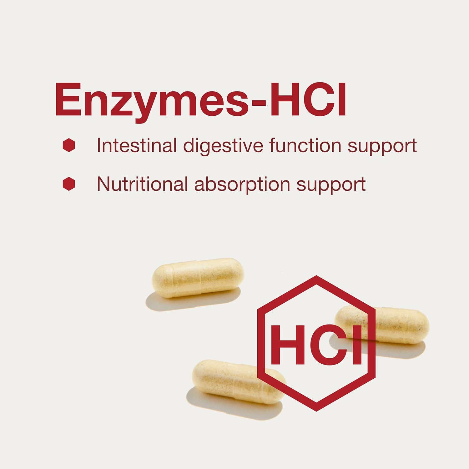 PROTOCOL FOR LIFE BALANCE Enzymes-HCl - Digestive Enzymes with Bromelain - Full Spectrum of Proteases - Digestion Supplement - Soy & Dairy Free - 120 Capsules Nirvana Guru