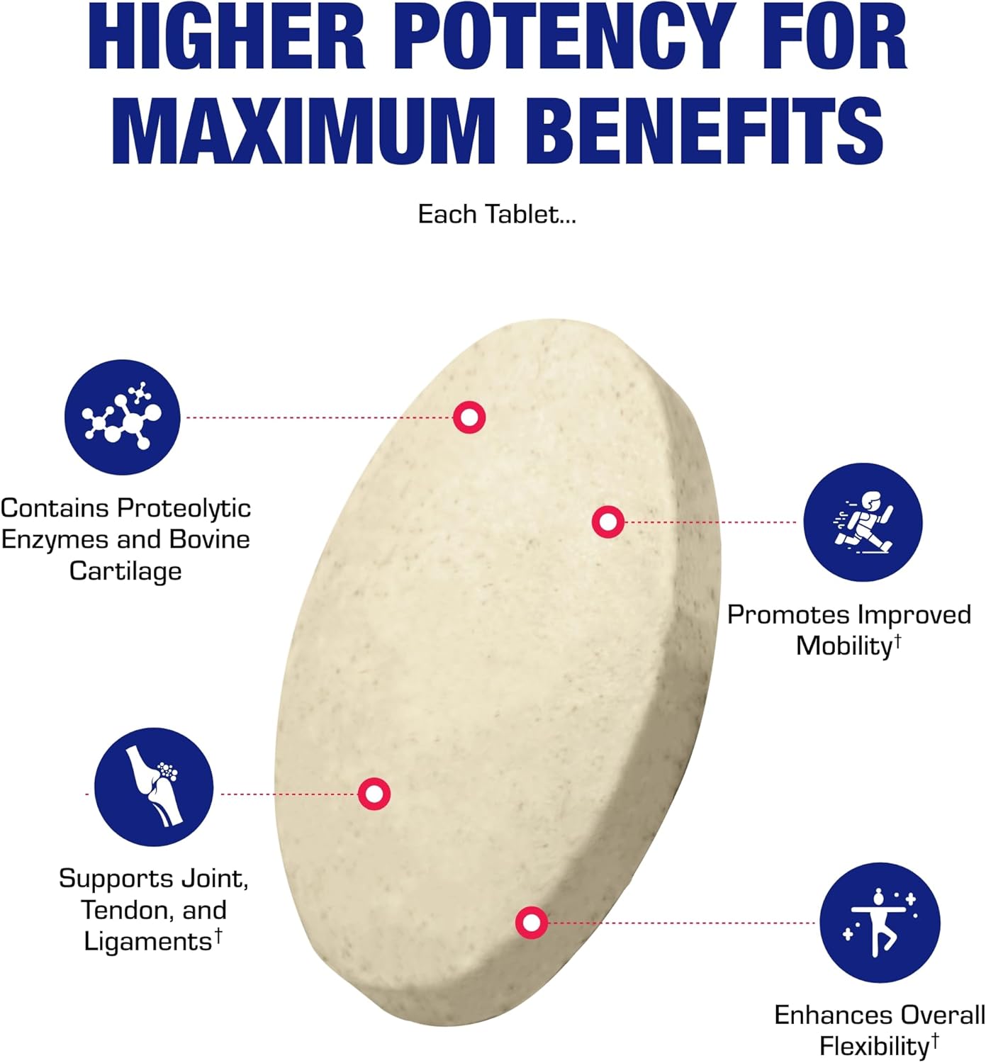 Cartilage Ligament and Tendon Supplement - Clinical Restorative Joint Support Formula with Bovine Cartilage Minerals and Proteolytic Enzymes for Enhanced Comfort Mobility Zymain 90 Support Nirvana Guru